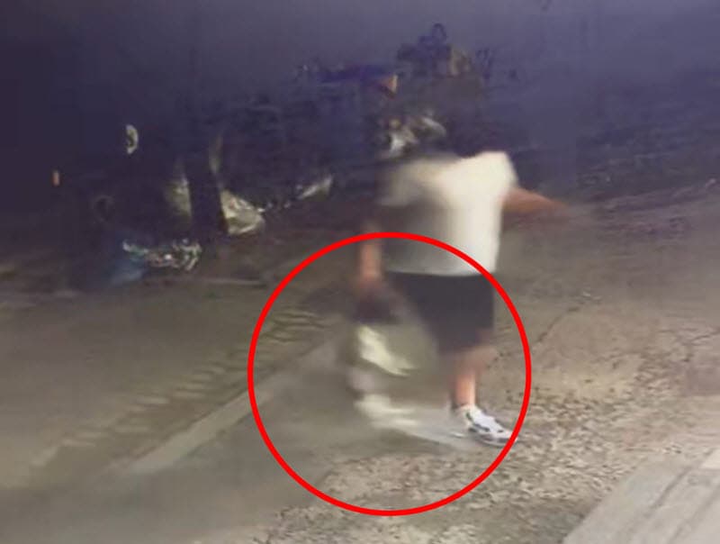 충남 당진 이웃 반려견 학대 사건 발생