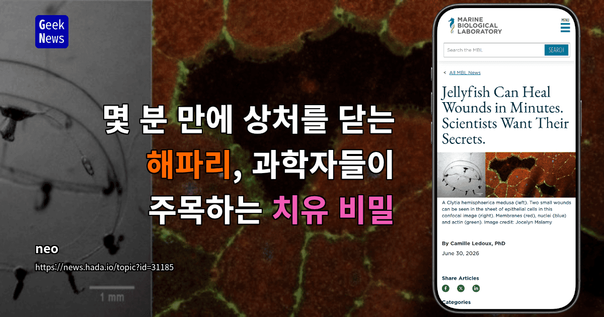 기타 단독 사건